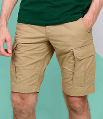 01660 Chestnut Model