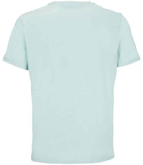 03981 Arctic Blue Back