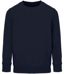 04239 French Navy Front