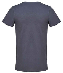 04728 Grey Back