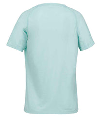 04788 Arctic Blue Back