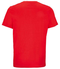 04859 Bright Red Back