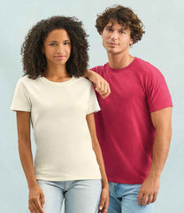 11500 Folk Red Model