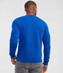 262M Bright Royal Model