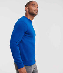 262M Bright Royal Model