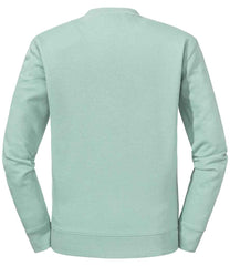 262M Eucalyptus Green Back