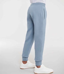 268M Mineral Blue Model