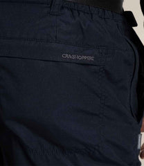 CR231 Dark Navy Model