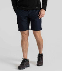 CR235 Dark Navy Model