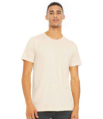 CV3001 Natural Model