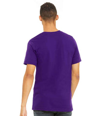 CV3001 Team Purple Model