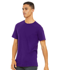 CV3001 Team Purple Model