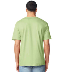 GD01 Pistachio Model