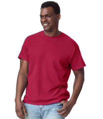 GD02 Cardinal Red Model