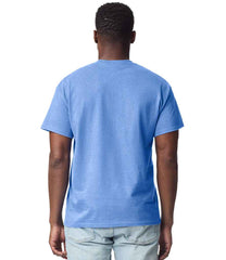 GD02 Carolina Blue Model