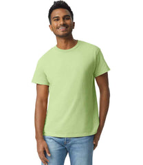 GD02 Pistachio Model