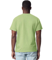 GD02 Pistachio Model