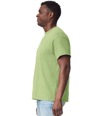 GD02 Pistachio Model