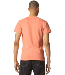 GD05 Tangerine Model