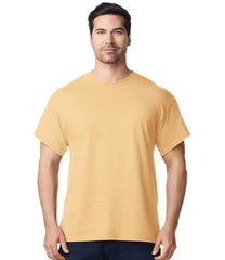 GD05 Yellow Haze Model