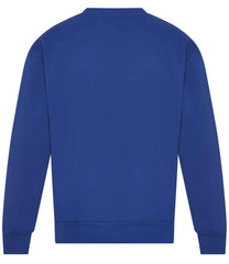 JH123 Bright Royal Back