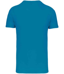 KB3025IC Tropical Blue Back