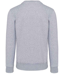 KB488 Oxford Grey Back