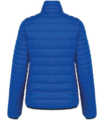 KB6121 Light Royal Blue Back