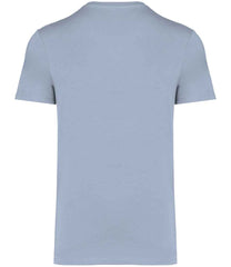 NS305 Aquamarine Back