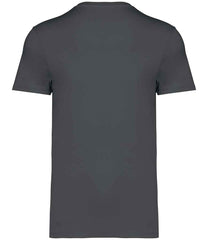 NS305 Iron Grey Back