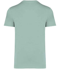 NS305 Jade Green Back