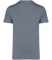 NS305 Mineral Grey Back