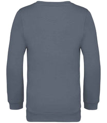 NS403 Mineral Grey Back