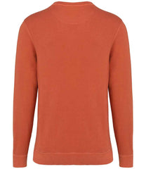 NS414 Washed Pomelo Back