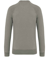 NS423 Almond Green Back