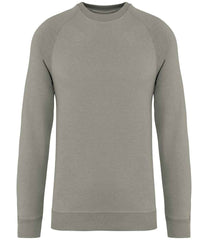 NS423 Almond Green Front