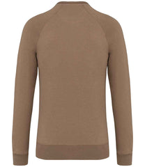 NS423 Driftwood Back