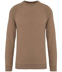 NS423 Driftwood Front