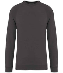 NS423 Iron Grey Front