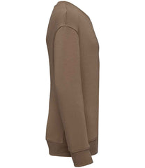 NS437 Driftwood Right