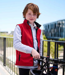 RG331 Classic Red/Black Model