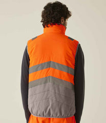 RG549 Orange/Grey Model