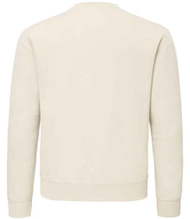 SS141 Desert Sand Back